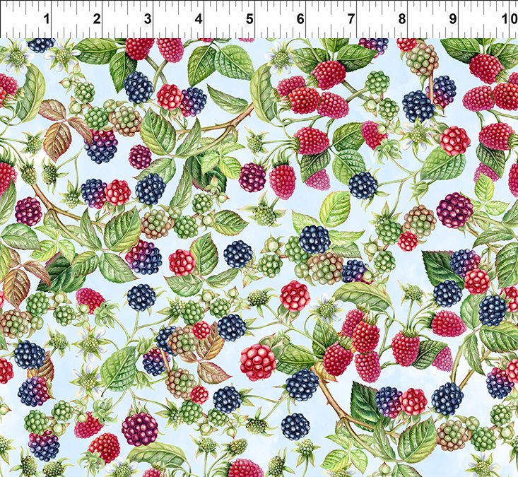 Celebrate Summer by In the Beginning - Berries by the yard 2356 Stitched by Jessi Rose