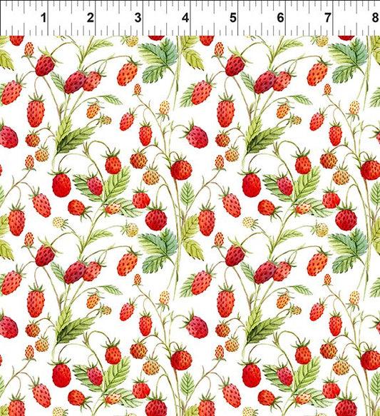 Hedgehog Hollow by In the Beginning - Strawberries - White by the yard