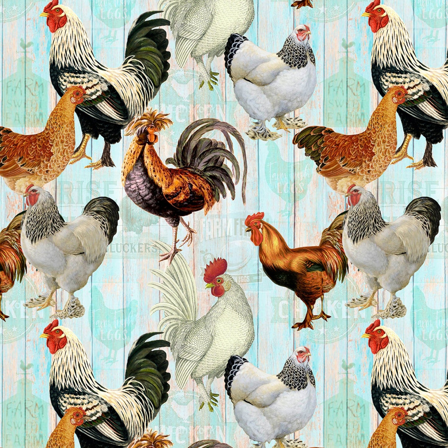 Multi Chickens On Faded Fence # CD1532-MULTI Fabric by the Yard