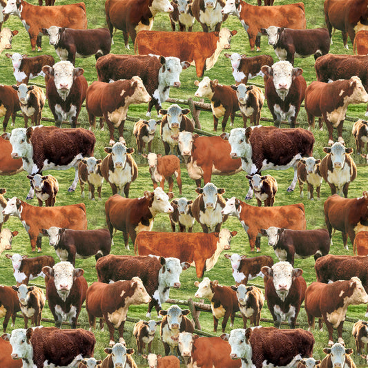 Multi Hereford Cows in a Corral by Timeless Treasures by the YARD 2453