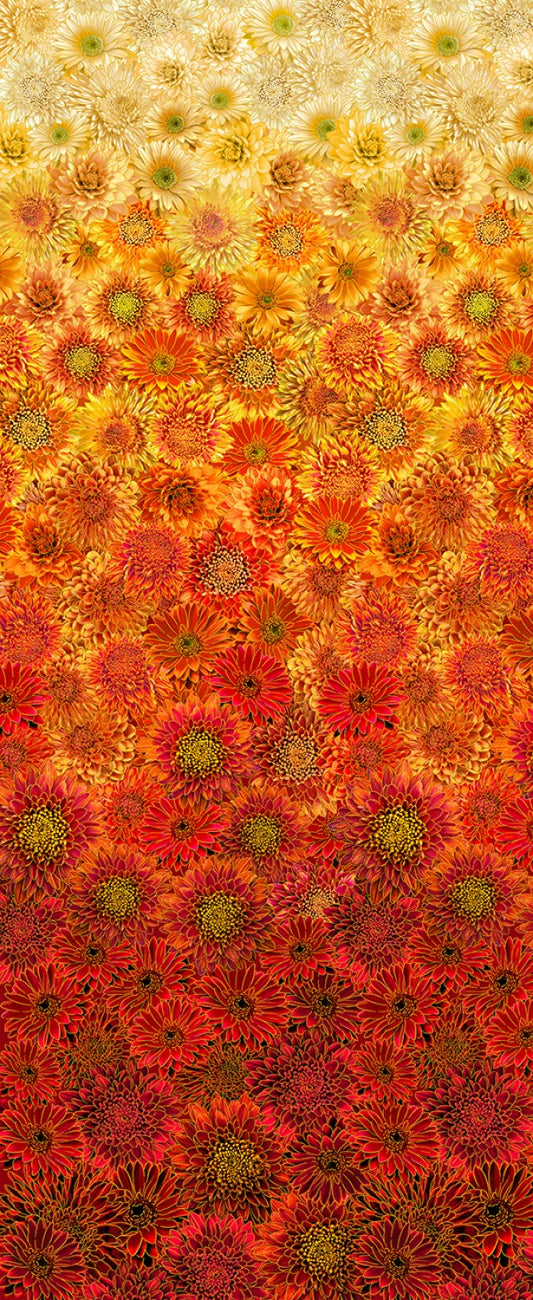 Autumn Ombre Metallic Mums with Metallic Harvest by Timeless Treasures by the YARD