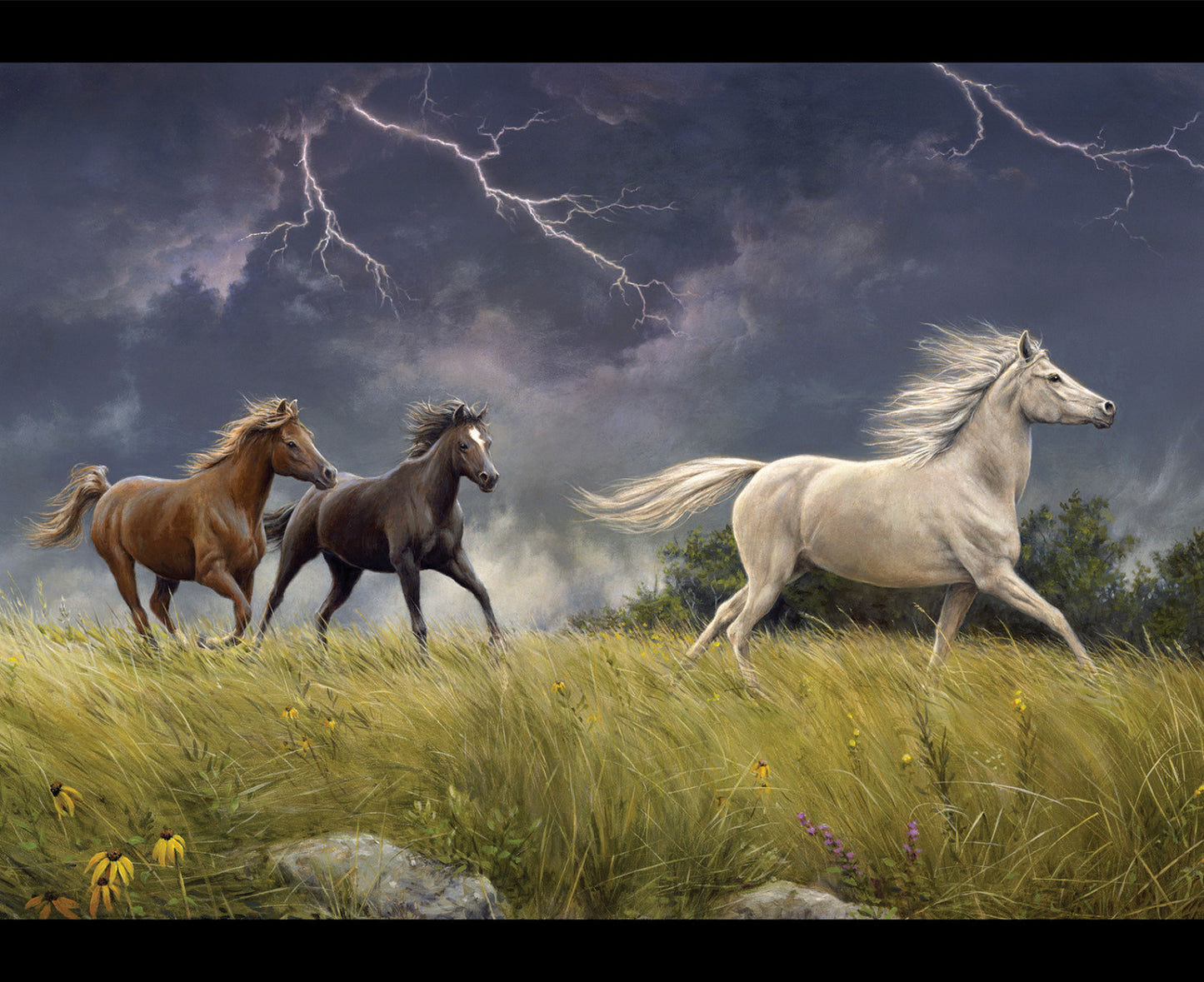 Wild Horses - Storm on the Prairie Panel by Riley Blake Designs - 36" x 43"